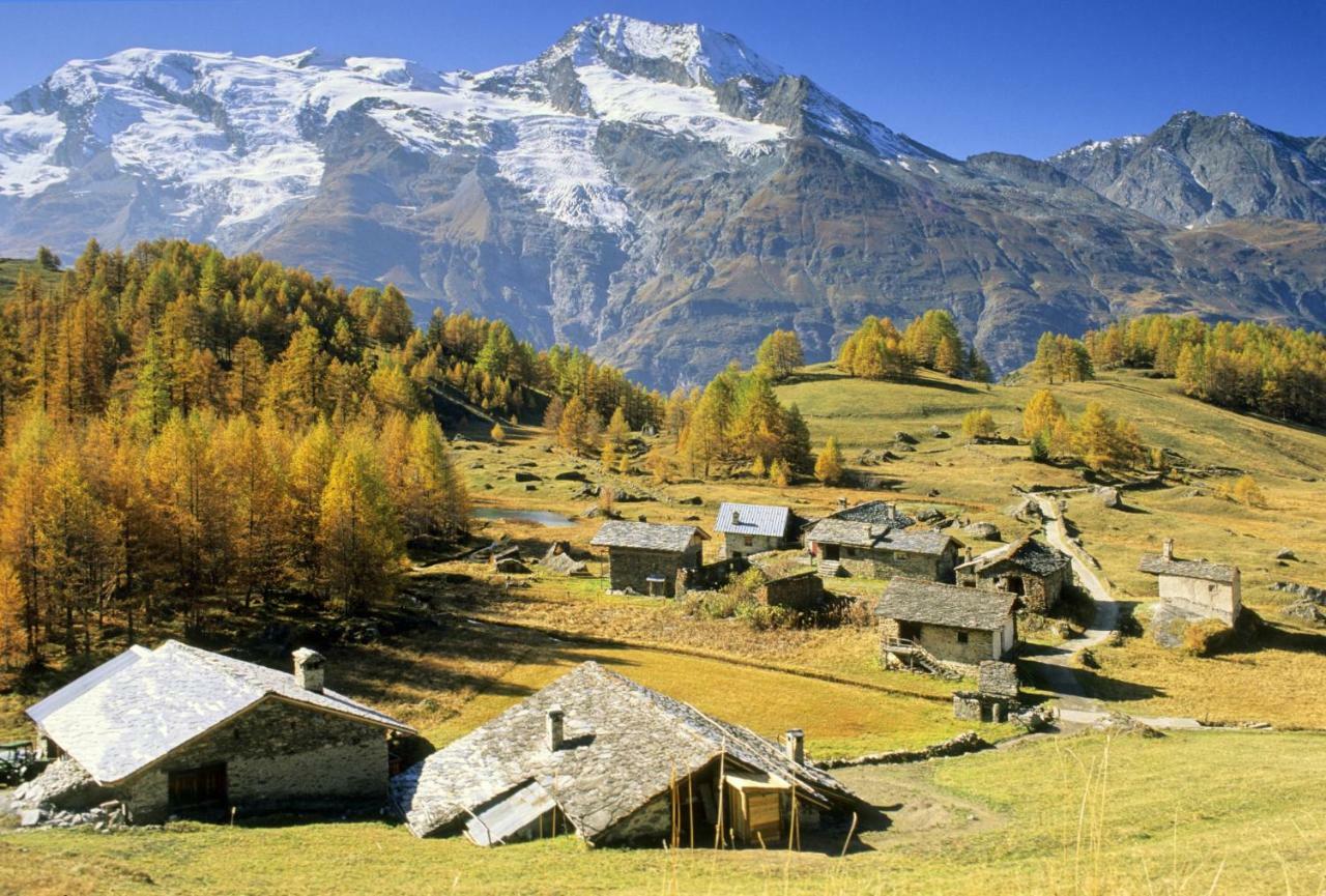 Arpege Des Neiges Lägenhet Sainte-Foy-Tarentaise Exteriör bild